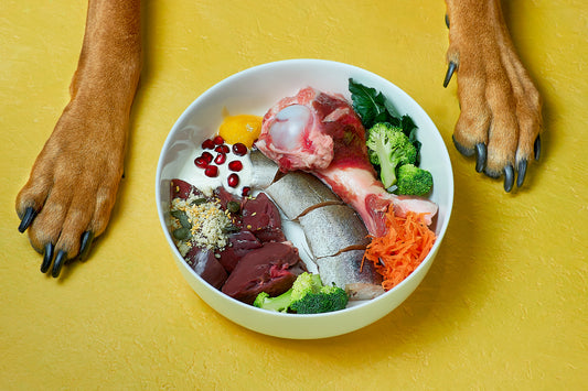 Unleash the Power of Raw Dog Food: Elevate Your Pet's Nutrition and Health