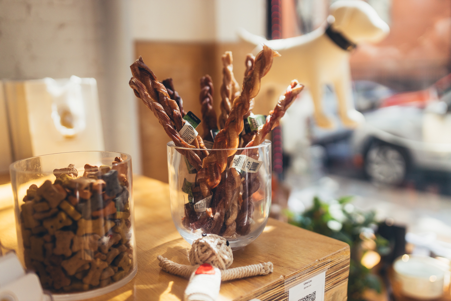 Treats, Bones & Bully Sticks