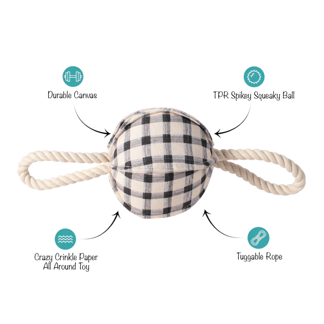 Pulling You In Painted Gingham Dog Tug Toy