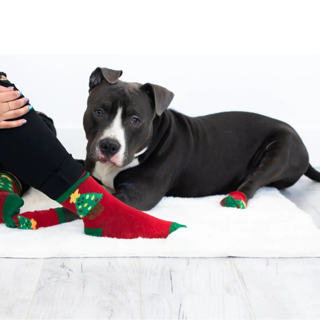 Pearhead - Human and Dog Matching Christmas Sock Set, Christmas Tree