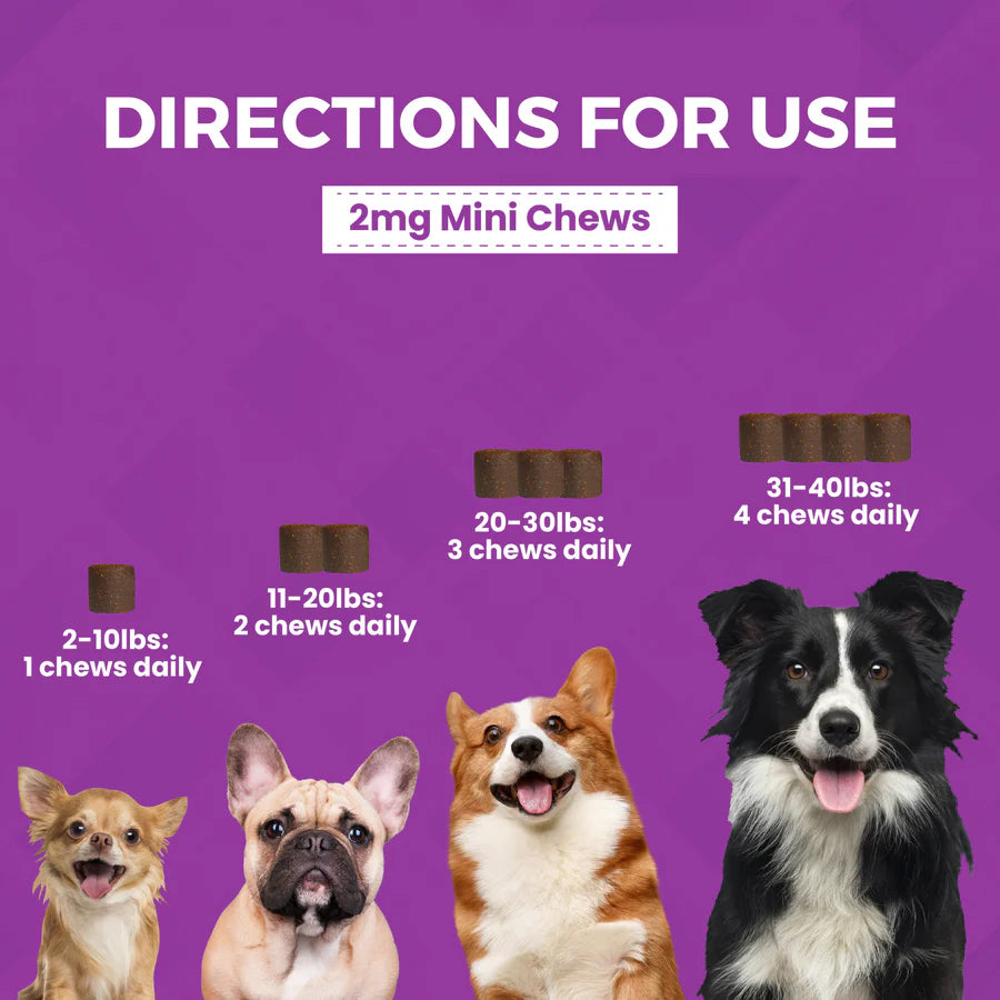 Nootie: Mini Soft Chew Supplements - Calming Aid