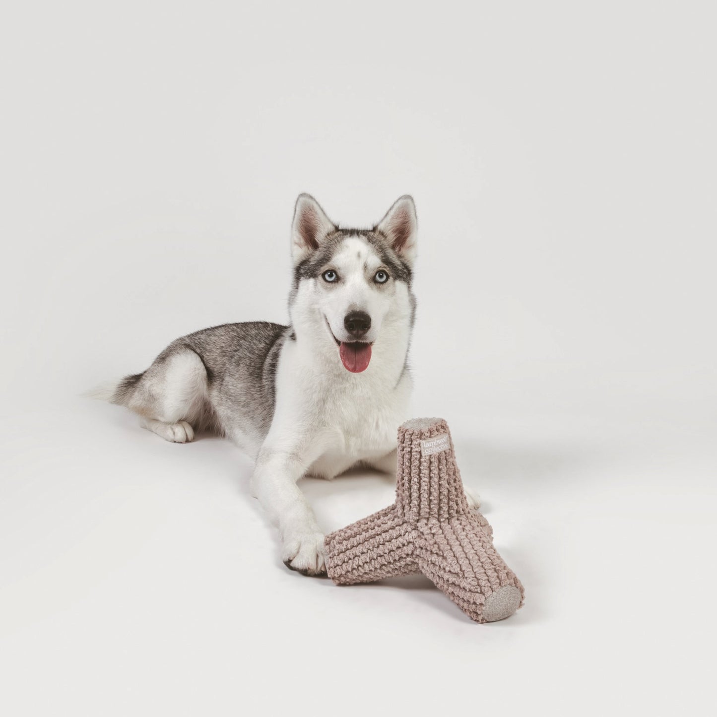 BREUER Soft Chew Toy with Squeakers + Crinkles