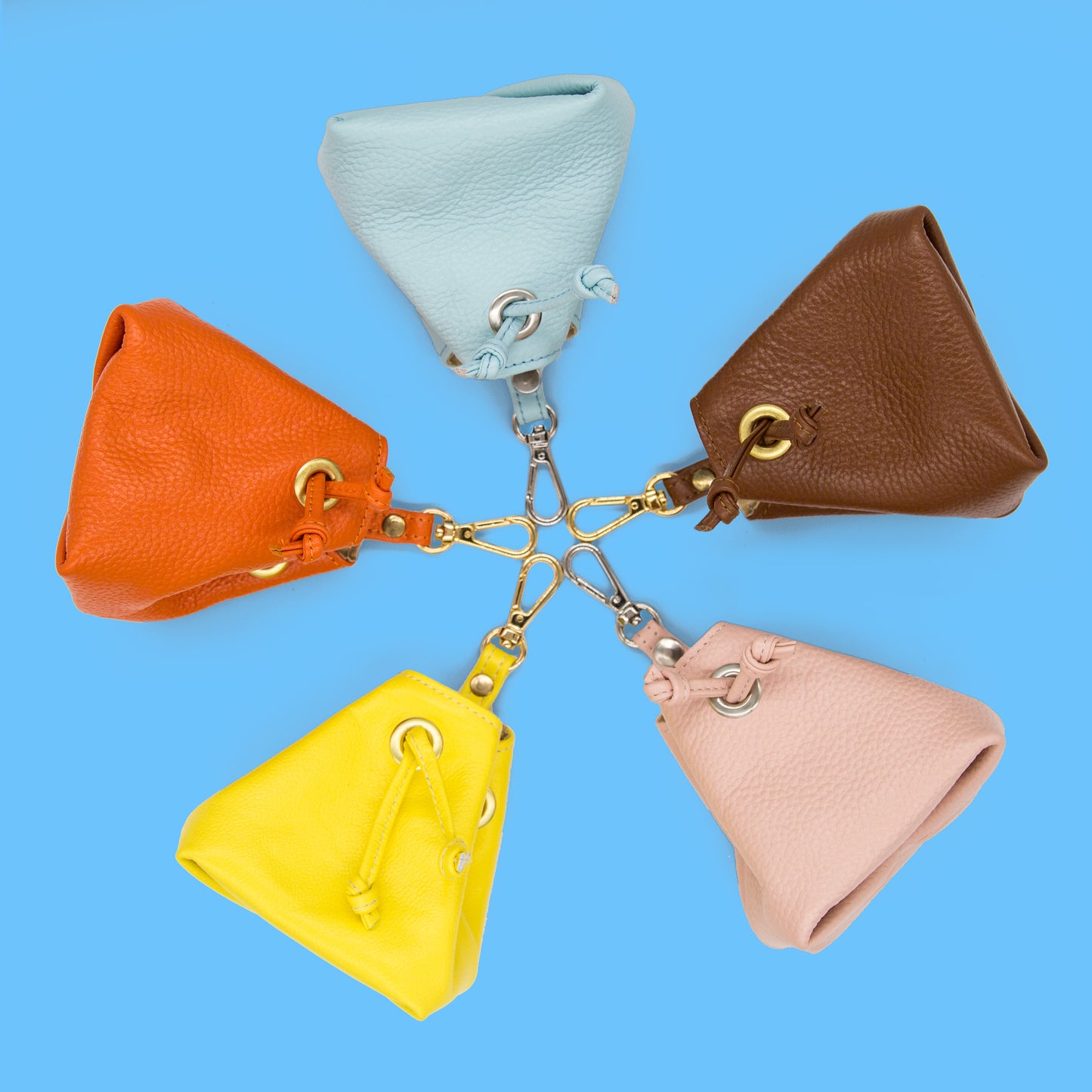 Leather Treat Bag