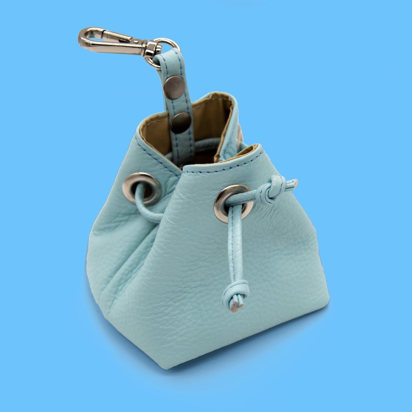 Leather Treat Bag