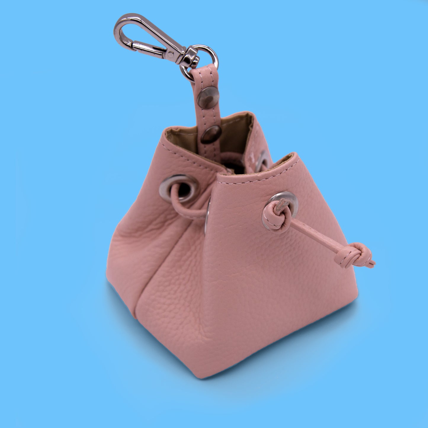 Leather Treat Bag