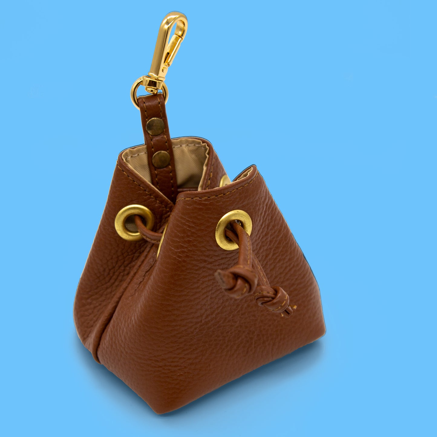 Leather Treat Bag