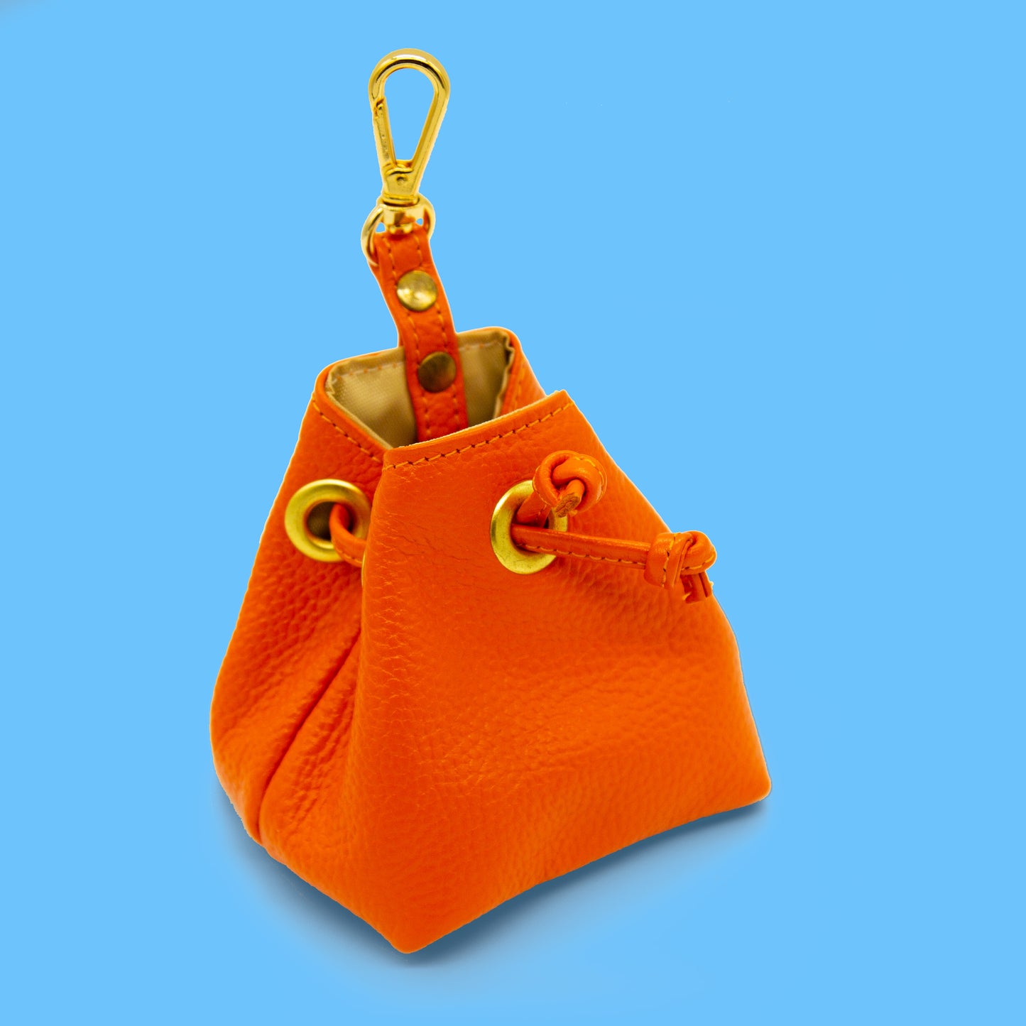 Leather Treat Bag